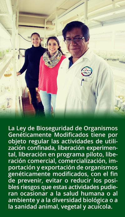 M.C. Mario Arce Montoya